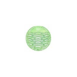 Wave2 Cucumber Melon (Single)
