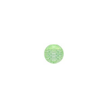 Wave2 Cucumber Melon (Single)